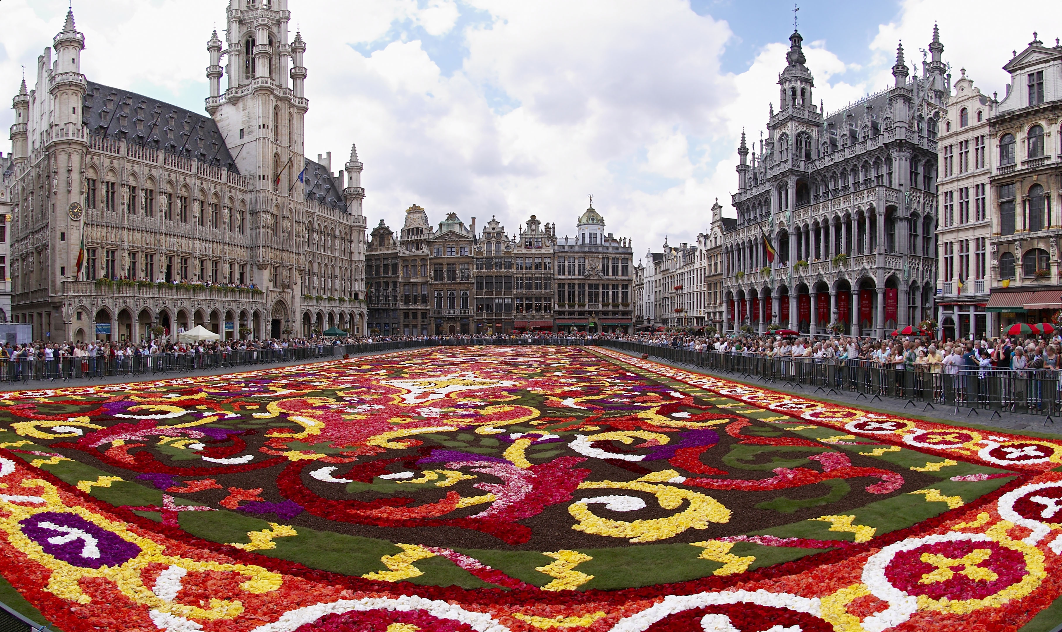 brussels_flowers