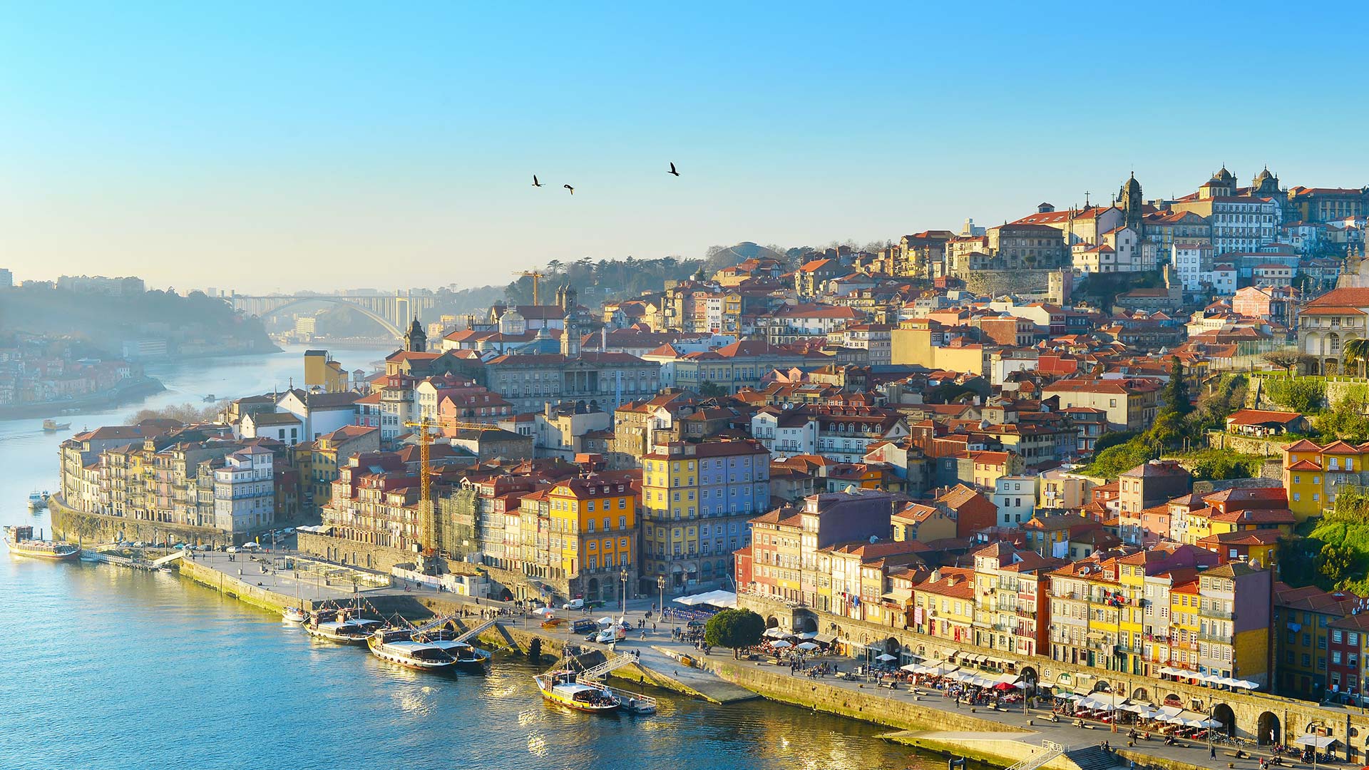 porto_vista_ponte