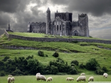 cashel